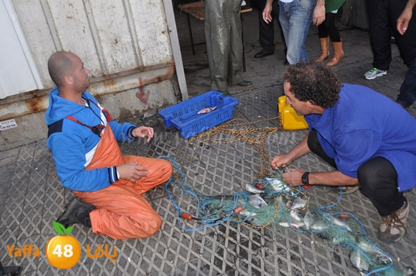 samak denisss (3).JPG